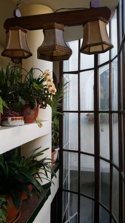 Vila Monica Bed and Breakfast Târgu-Mureş Εξωτερικό φωτογραφία
