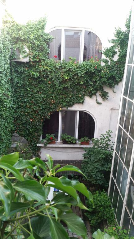 Vila Monica Bed and Breakfast Târgu-Mureş Εξωτερικό φωτογραφία