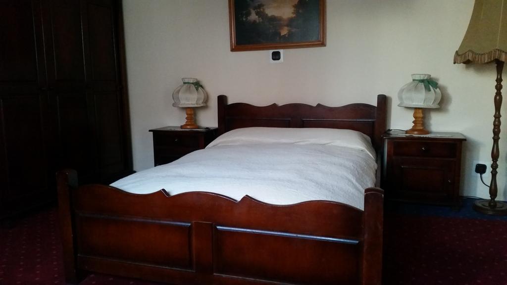 Vila Monica Bed and Breakfast Târgu-Mureş Δωμάτιο φωτογραφία