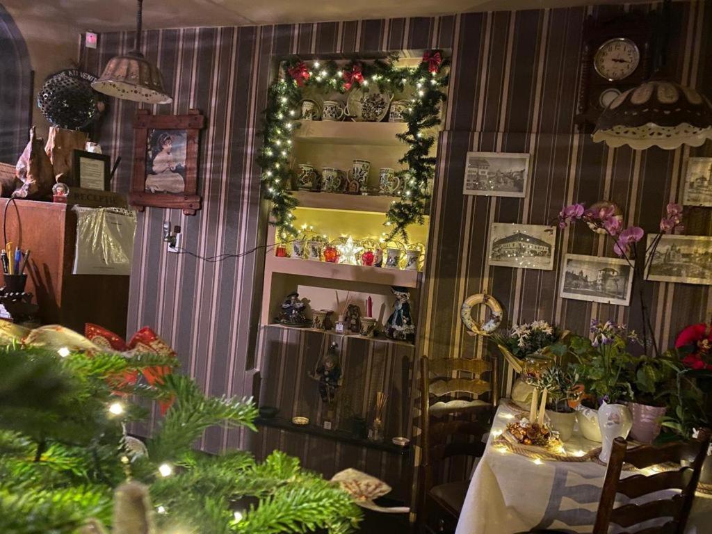 Vila Monica Bed and Breakfast Târgu-Mureş Εξωτερικό φωτογραφία