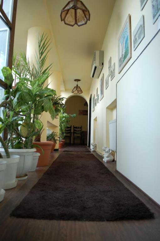 Vila Monica Bed and Breakfast Târgu-Mureş Εξωτερικό φωτογραφία