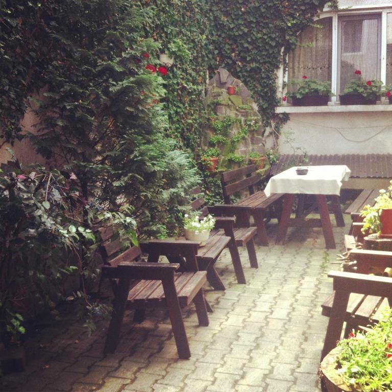 Vila Monica Bed and Breakfast Târgu-Mureş Εξωτερικό φωτογραφία